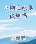 小糊豆也要被嬷吗推荐小说