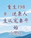 重生1988：逆袭人生从宠妻开始